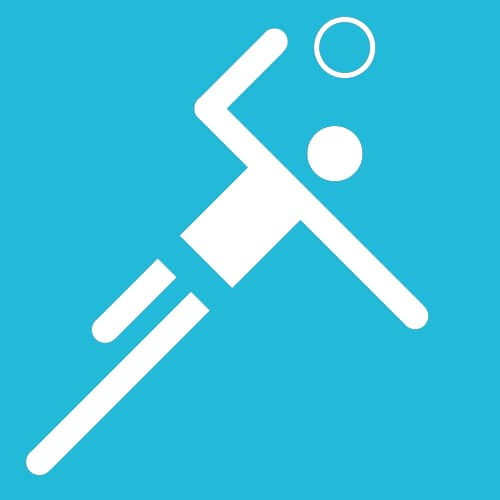 HBL pictogram at 1972_munich_olympics