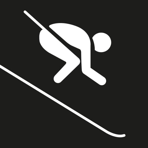 Icon for ALP at 1976 Innsbruck Olympics