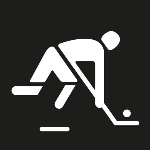 IHO pictogram at 1980_lake-placid_olympics