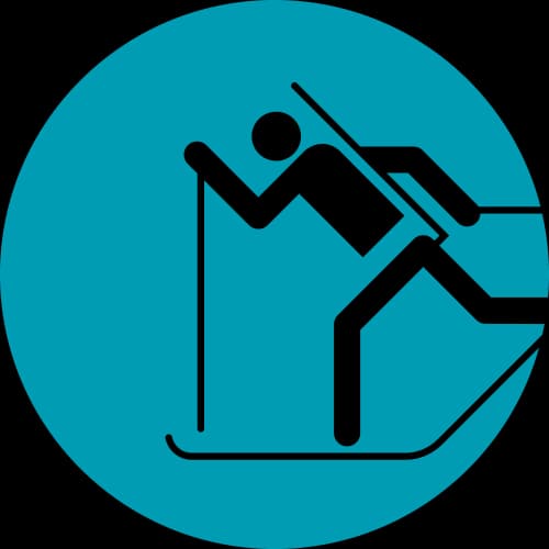 Icon for BTH at 1988 Calgary Olympics