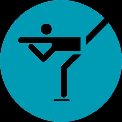 Icon for FSK at 1988 Calgary Olympics