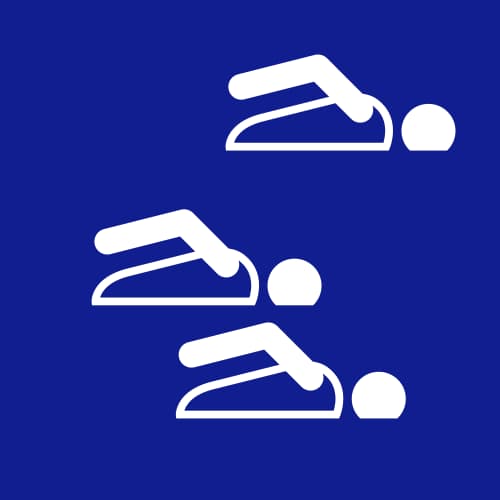 Icon for SWM at 1988 Seoul Olympics