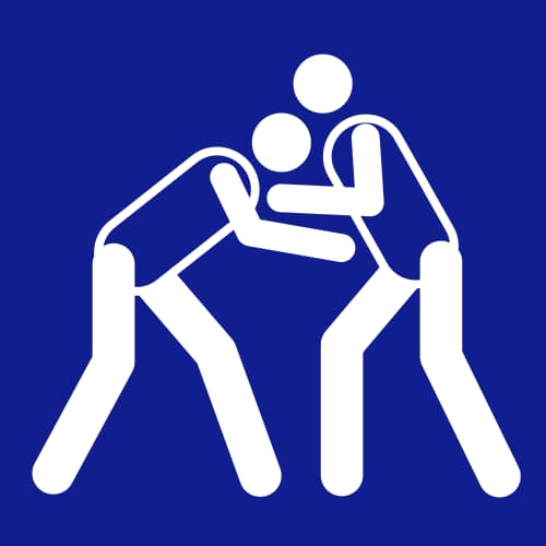 Icon for WRE at 1988 Seoul Olympics