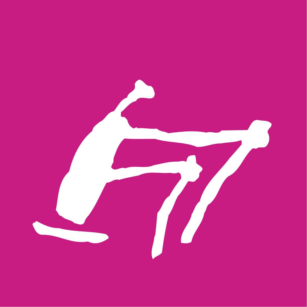 P-SS pictogram at 1994_lillehammer_paralympics