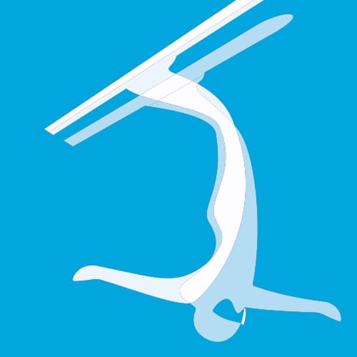 Icon for FRS at 2006 Torino Olympics