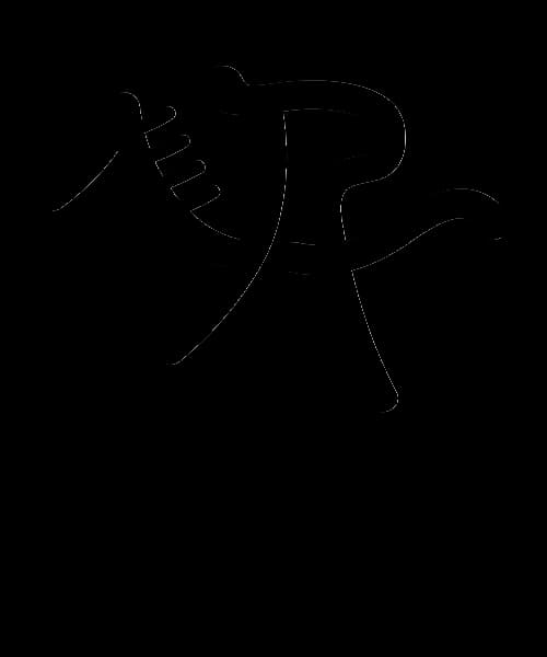 EDR pictogram at 2008_beijing_olympics