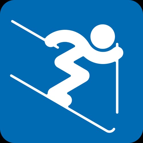 Icon for FRS at 2014 Sochi Olympics