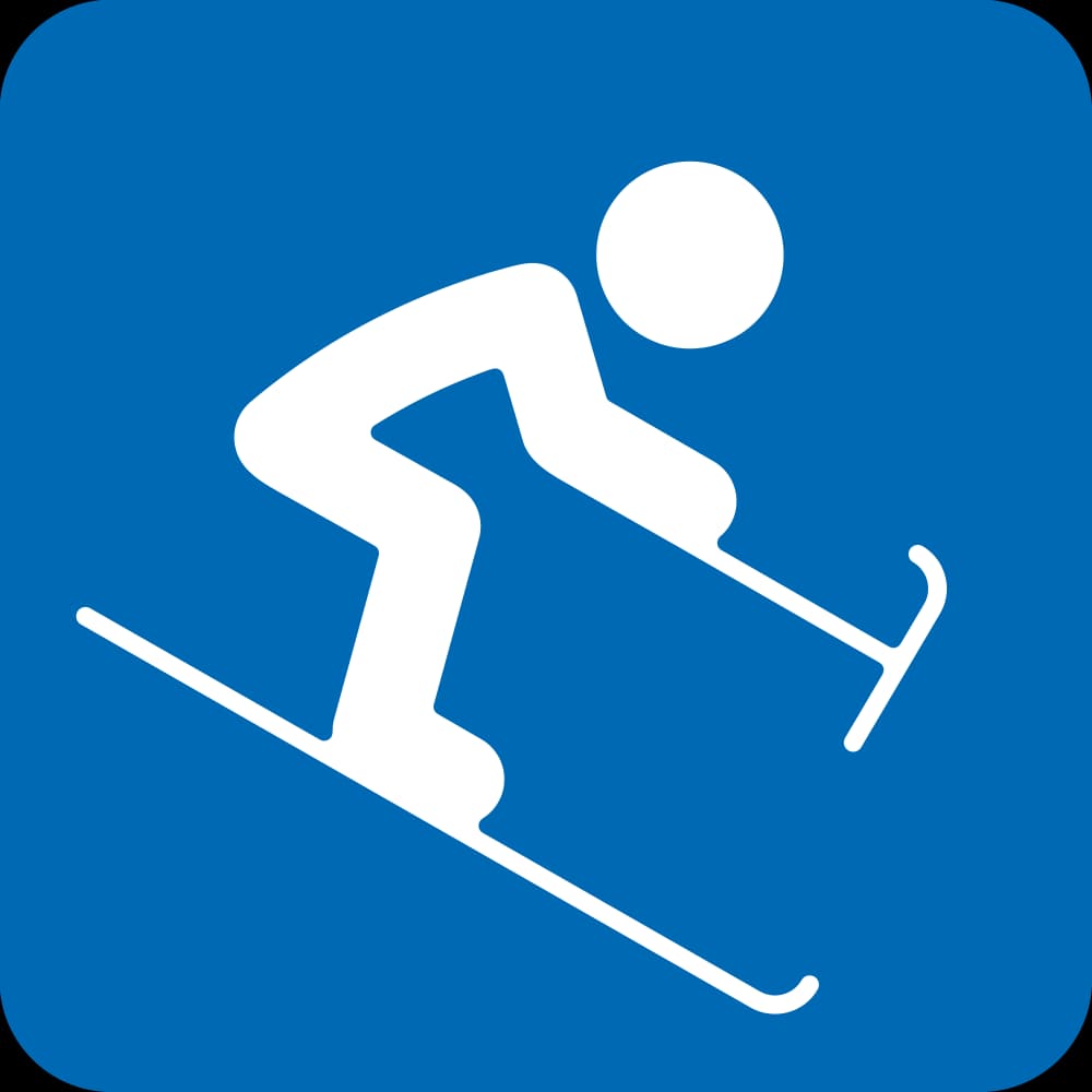 Icon for P-AS at 2014 Sochi Paralympics