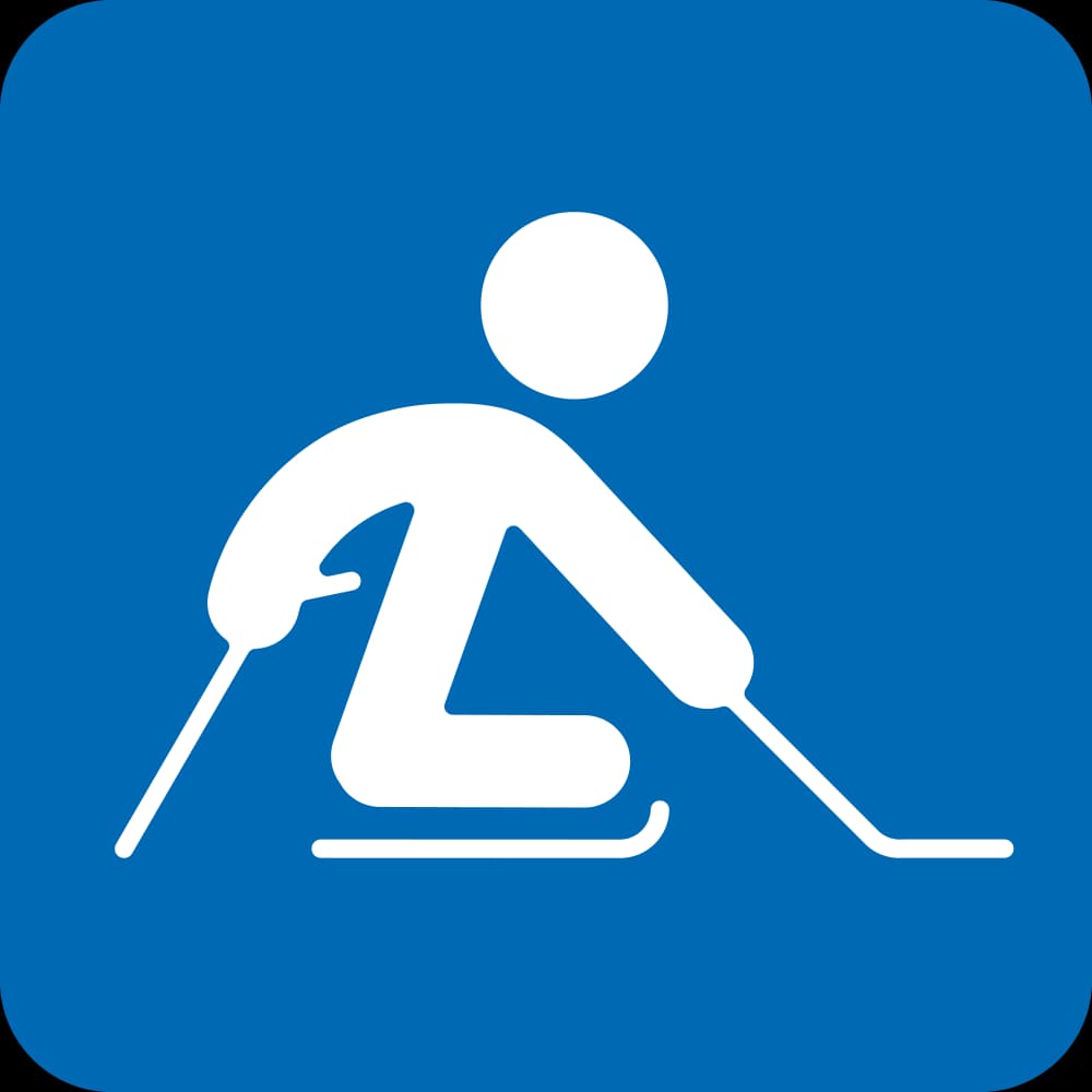 P-IH pictogram at 2014_sochi_paralympics