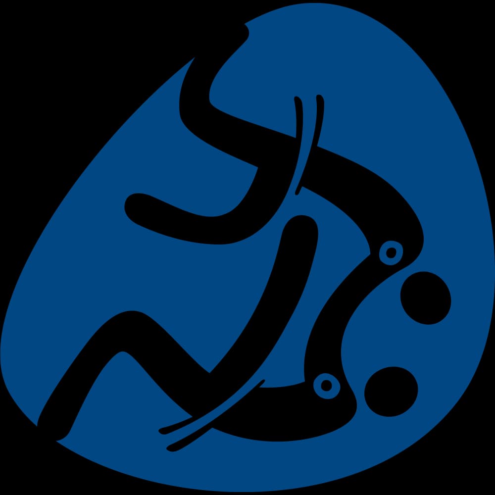 P-JU pictogram at 2016_rio-de-janeiro_paralympics