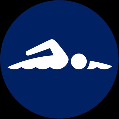 Icon for SWM at 2020 Tokyo Olympics