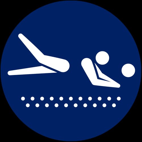 VBV pictogram at 2020_tokyo_olympics