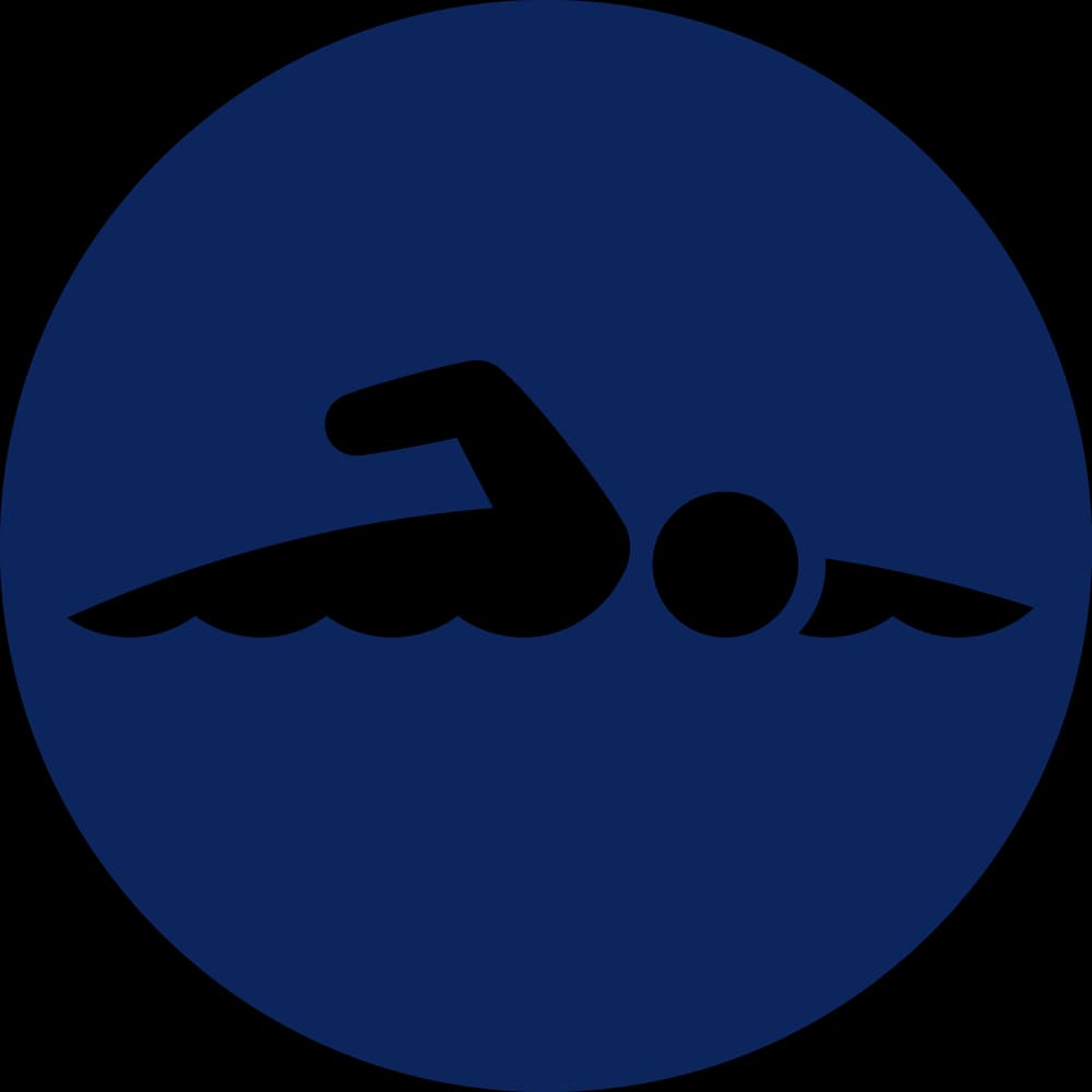 P-SW pictogram at 2020_tokyo_paralympics