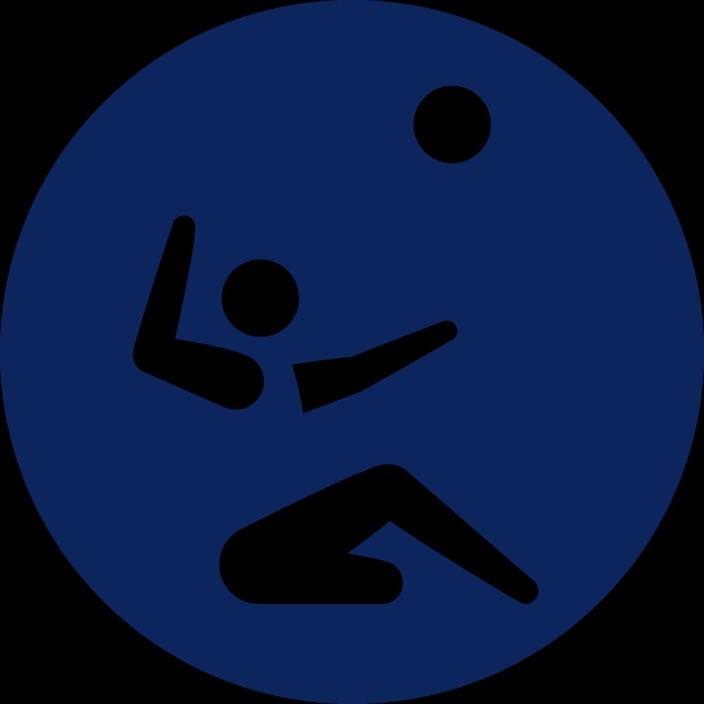 P-VS pictogram at 2020_tokyo_paralympics